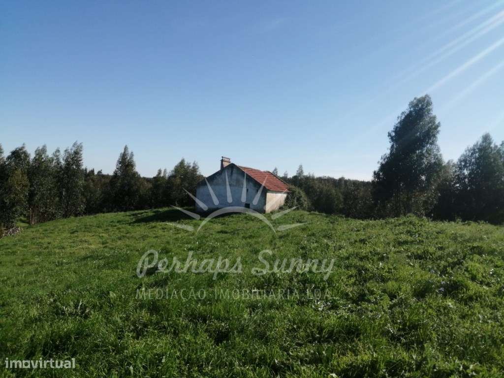 Quinta com casas para recuperar - Grande imagem: 3/47