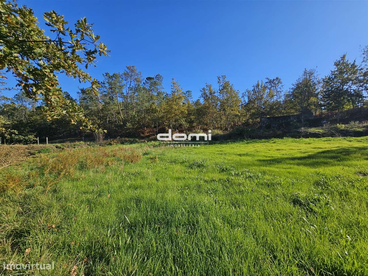 Terreno rústico de 26.258,50 m², com pequena ruína para recuperar - Grande imagem: 1/10