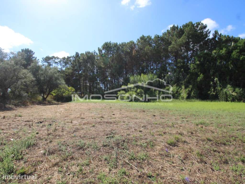 Terreno para construção de habitação - Grande imagem: 5/8