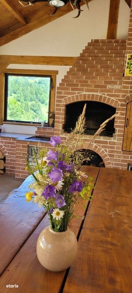 Casa de vacanta in Campulung Moldovenesc - Imagine principală: 4/11
