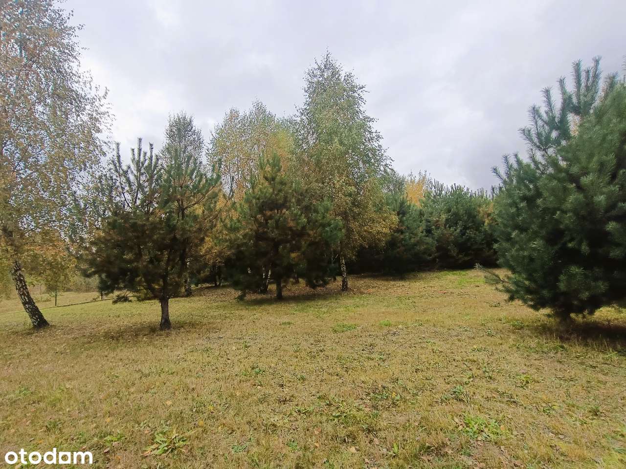 Urokliwa działka wśród nowej zabudowy domów.-5