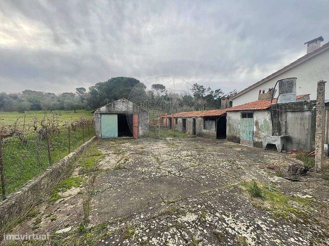 Moradia T2 à venda em Gabrieis - Grande imagem: 5/11