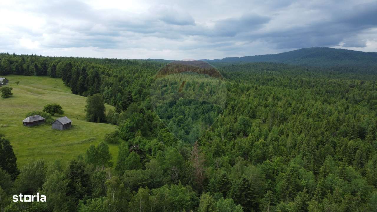 Teren de vanzare 8119 mp Calatele Padure.Muntii Apuseni - Imagine principală: 4/20