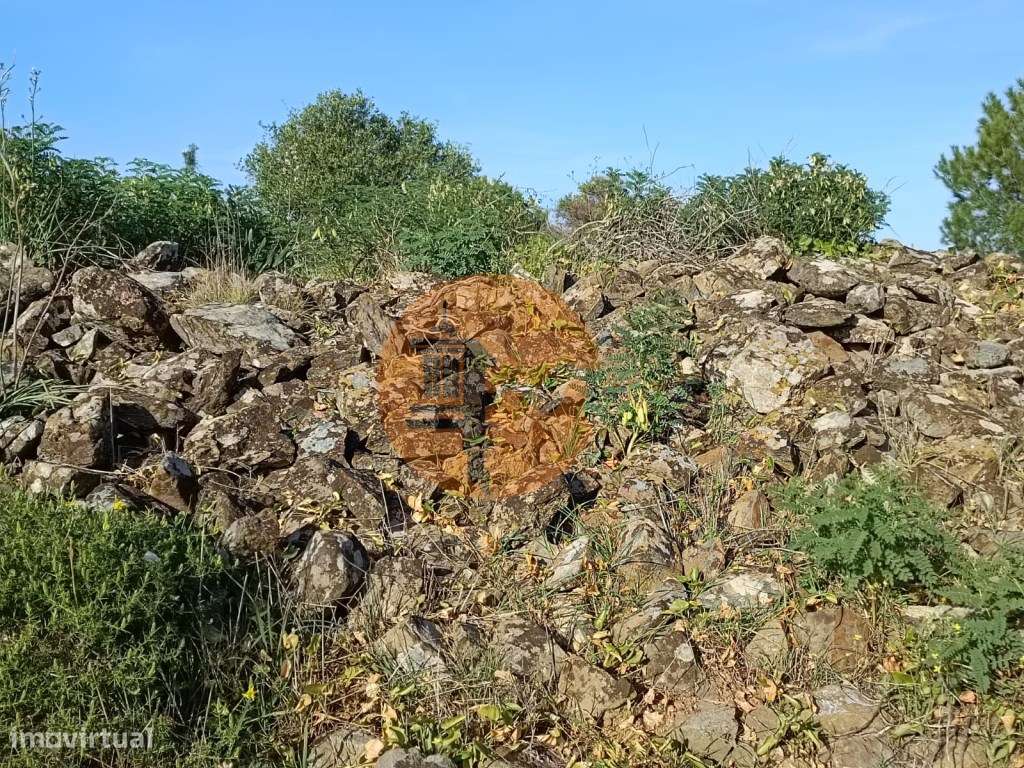 TERRENO COM 42.480 M2 - POSSIBILIDADE DE CONSTRUIR ARMAZEM - BELICH... - Grande imagem: 3/50