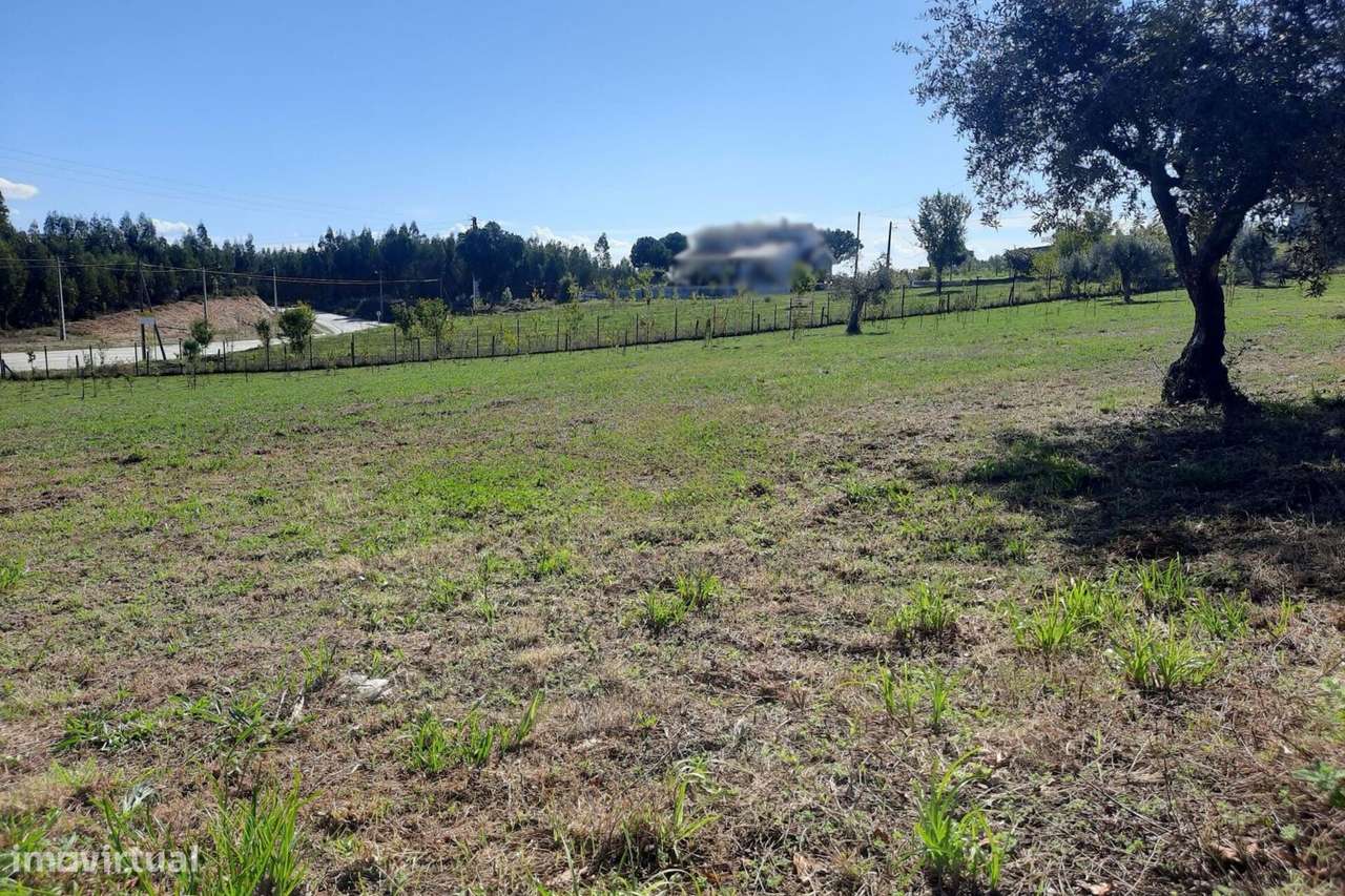 Terreno, Viseu, Mortágua, Mortágua, Vale de Remígio, Cortegaça e Almaç - Grande imagem: 4/5