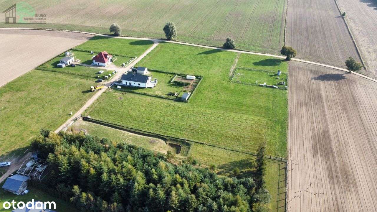 Działka budowlana Jeldzino k/Krokowa - Pełny obrazek: 4/6