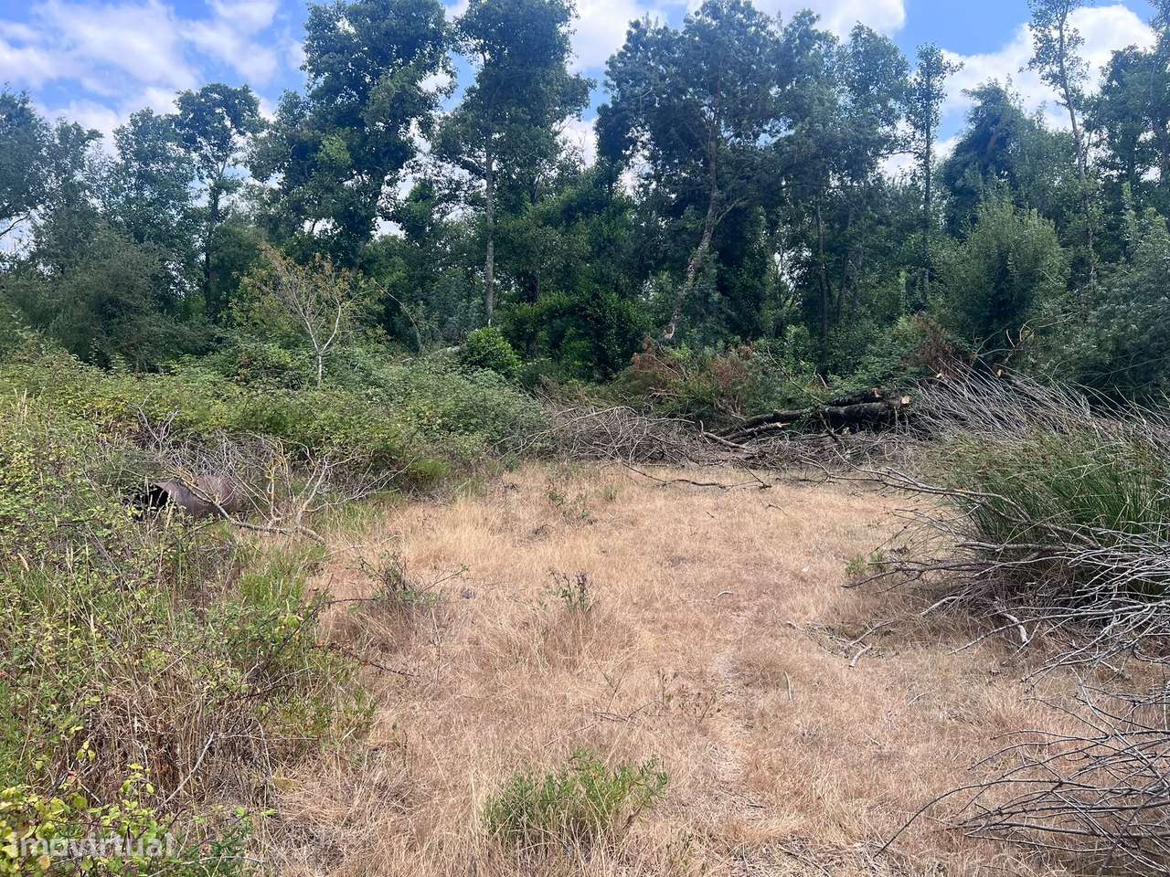 Vende-se Moradia á Entrada de Ourém- Grande Oportunidade-22