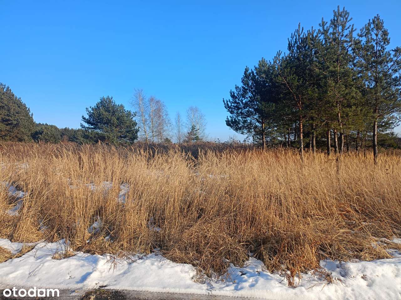 Ustawna działka na dom parterowy -dostępnych kilka działek obok siebie-7