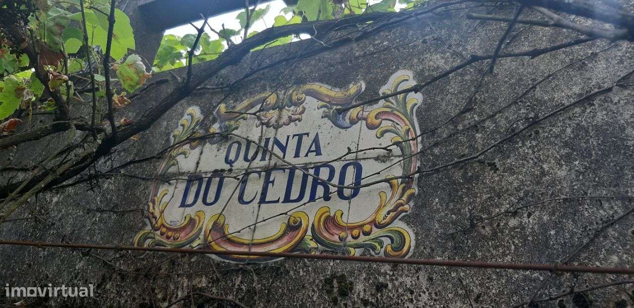 - Quinta c/casa 2 pisos , piscina e C/ terreno p/ novas construçõe-8