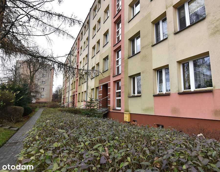 Niezależne 3 pokoje blisko Parku Śląskiego-3