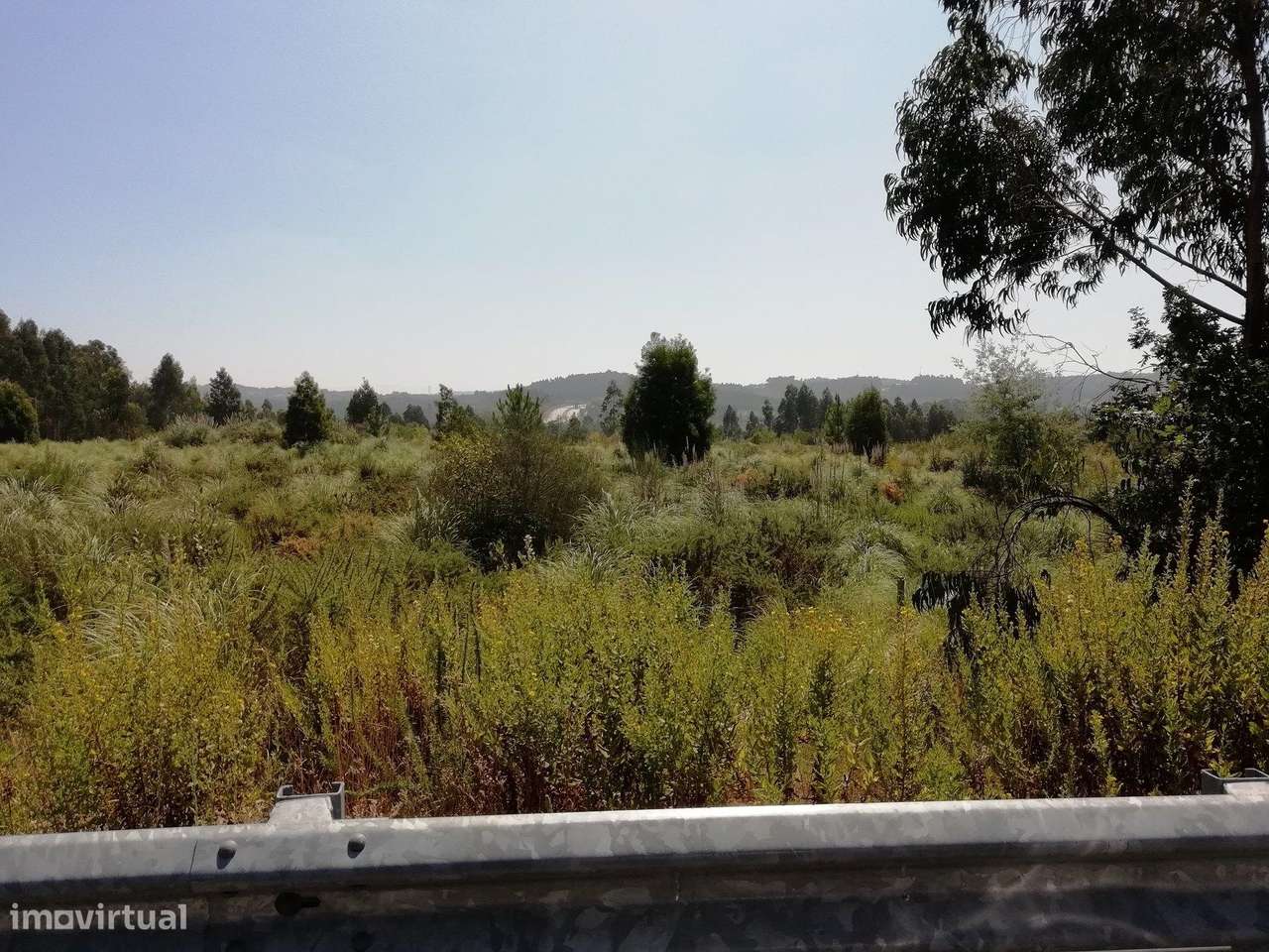 Terreno com 7801 m2 em Sandim - Grande imagem: 5/15