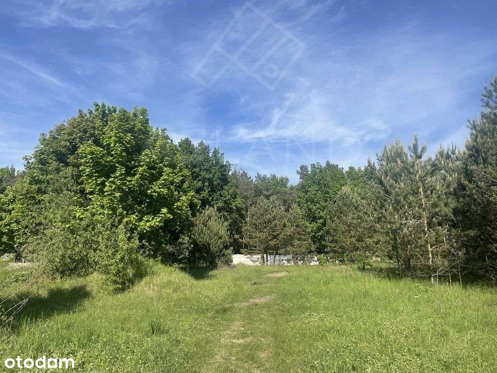 Działka w Mpzp w leśnym zaciszu! - Pełny obrazek: 4/7
