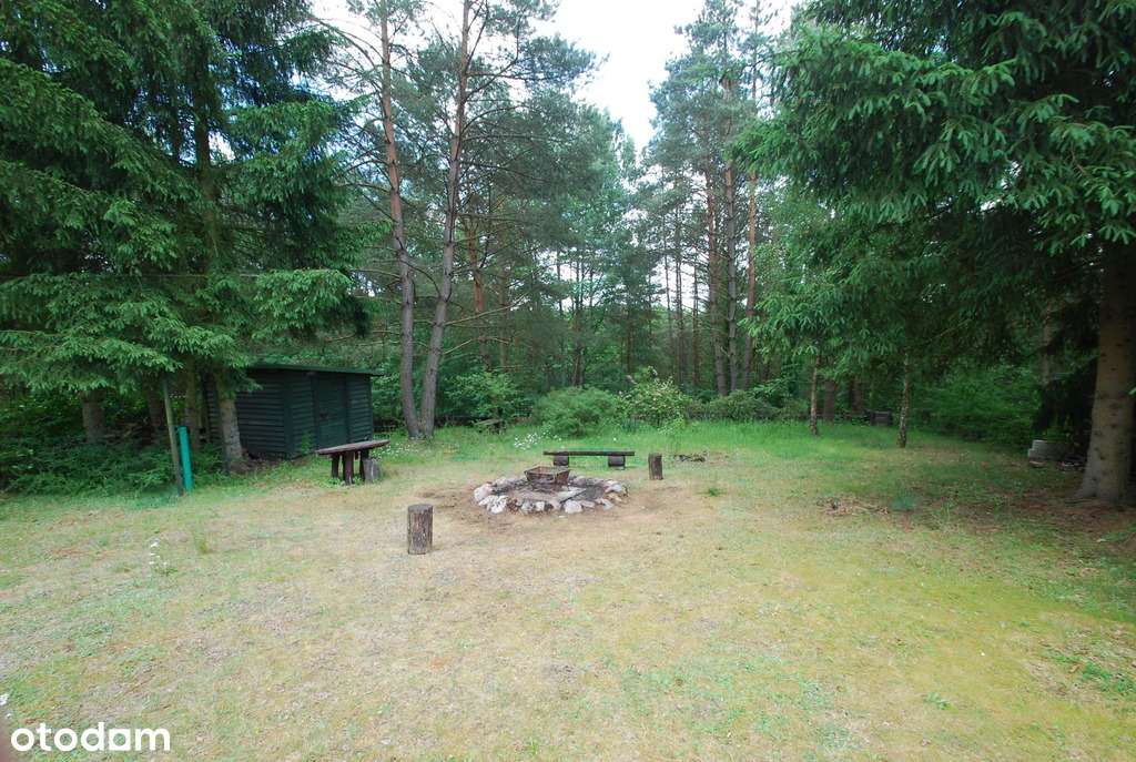 Urokliwy domek w środku lasu - Moczydło-11