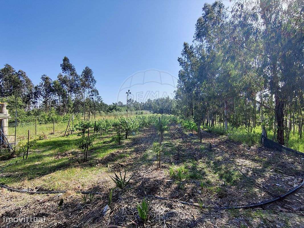 Quinta  para venda-2