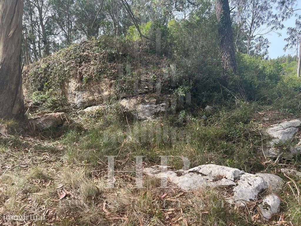 Terreno | Reguengo Grande | Lourinhã - Grande imagem: 4/17