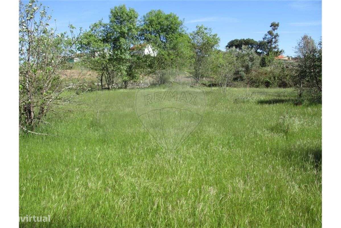 Quinta T0 para venda - Grande imagem: 3/9