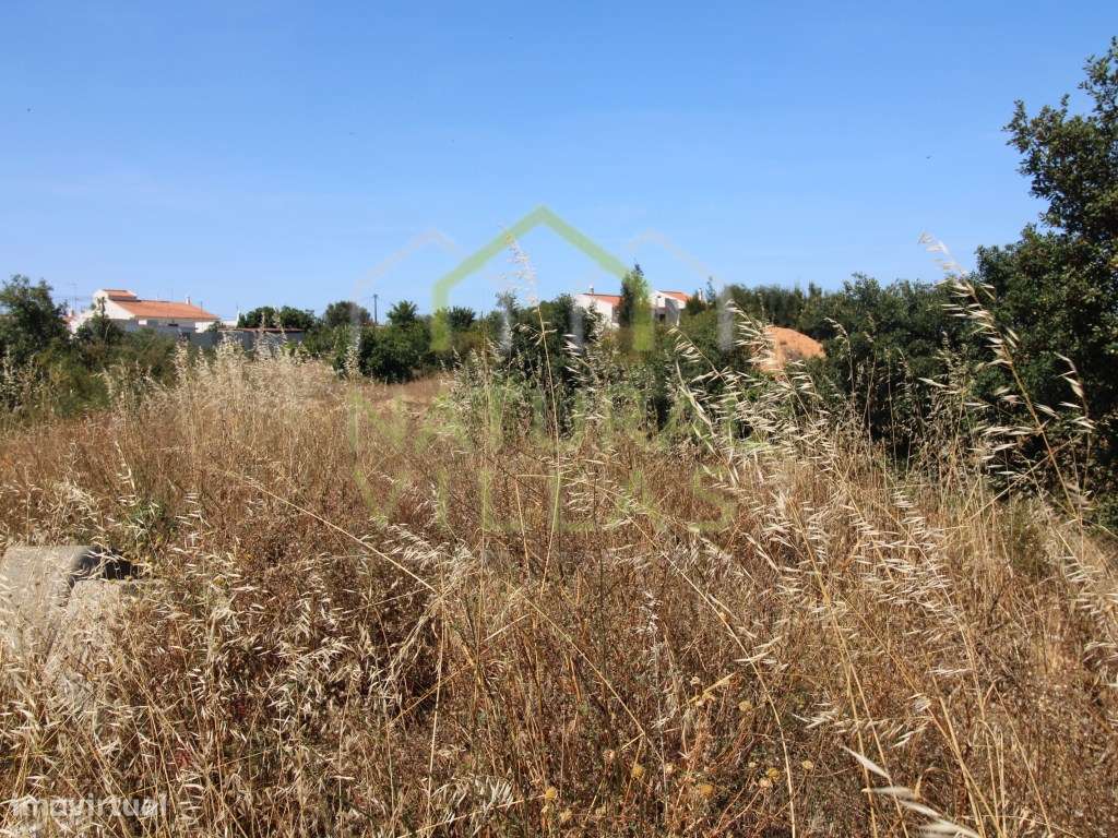 Lote de Terreno em Montenegro - Grande imagem: 3/5