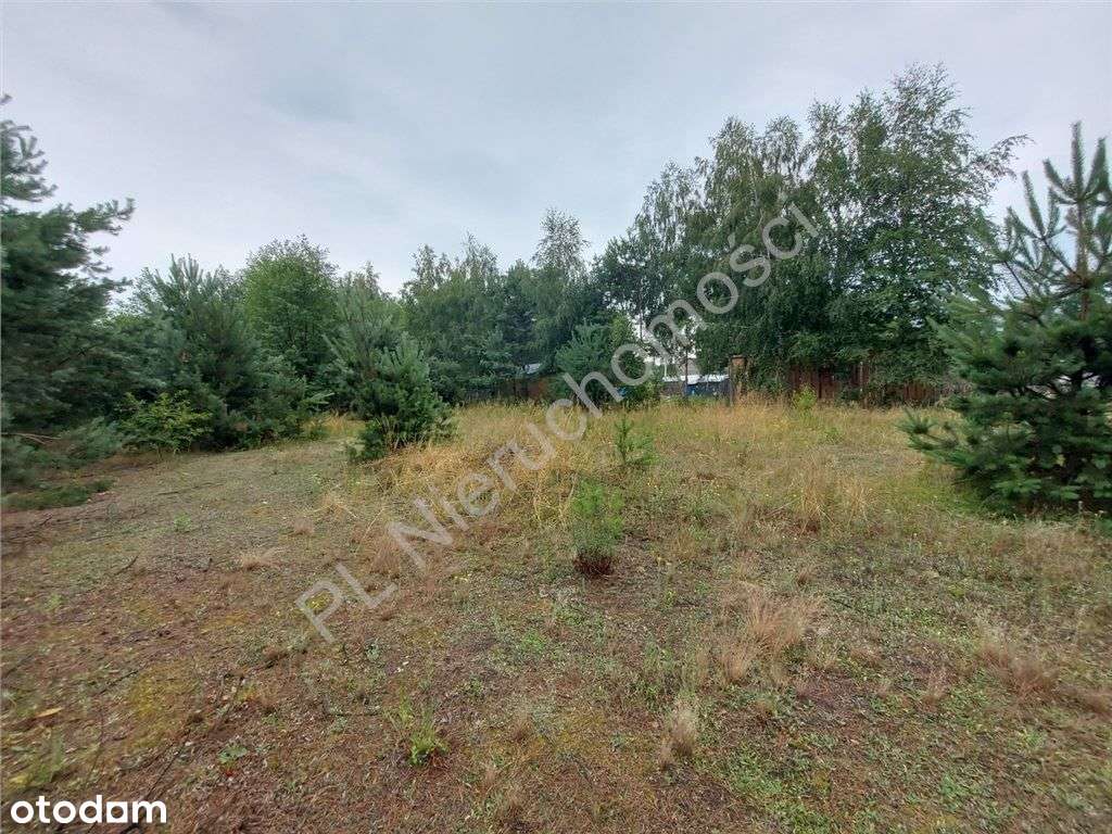 Działka Budowlana W Głuszy Rezerwatu-14