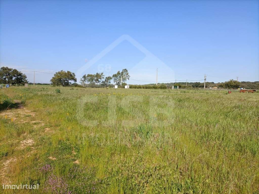 Terreno Foros da Charneca-3