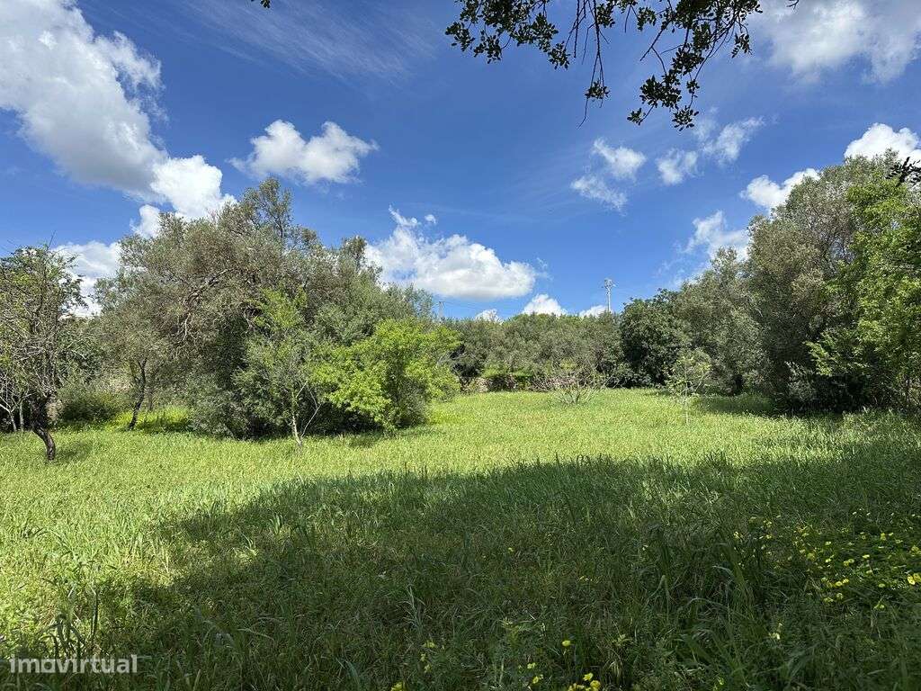 Casa de Campo T4 em Loulé (São Sebastião)-20