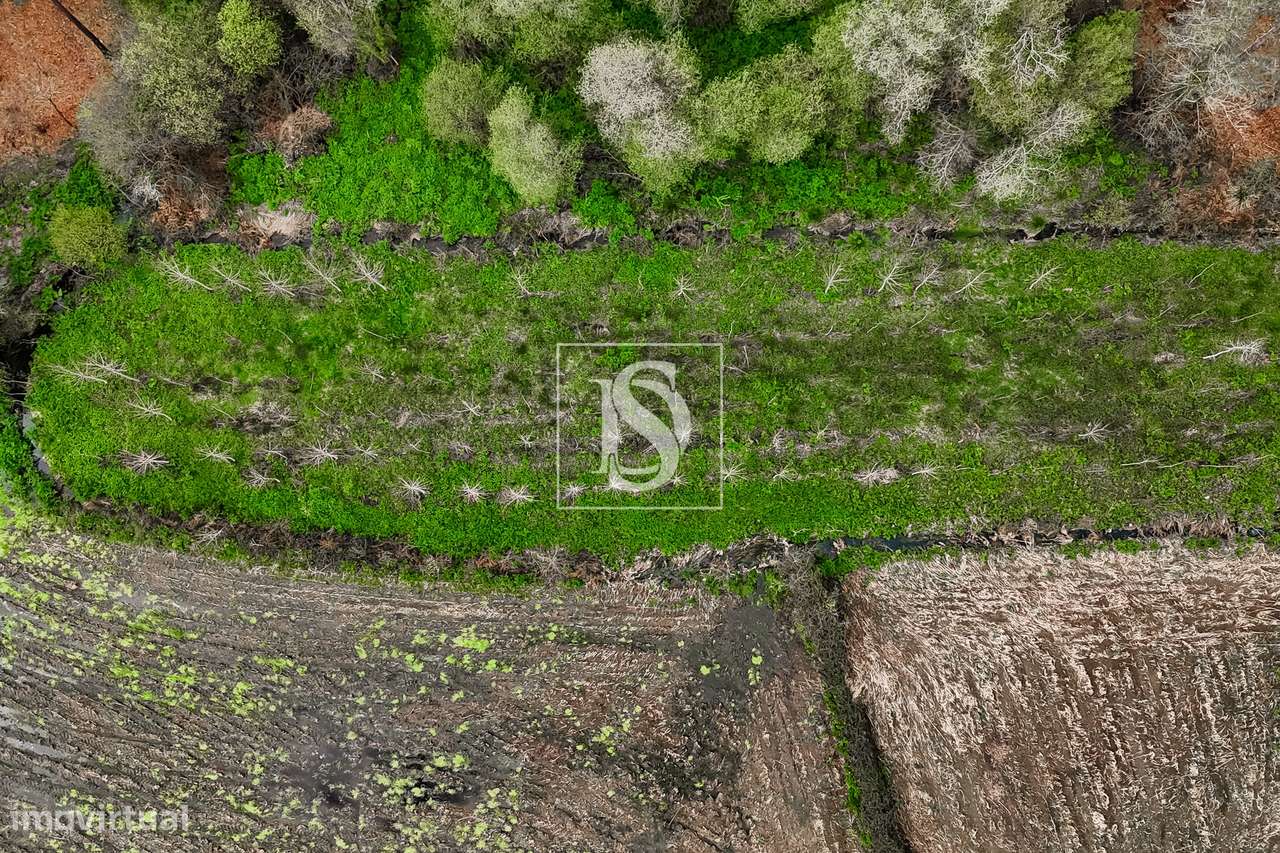 Terreno Rústico  Venda em Associação de freguesias do Vale do Neiva,Po-15