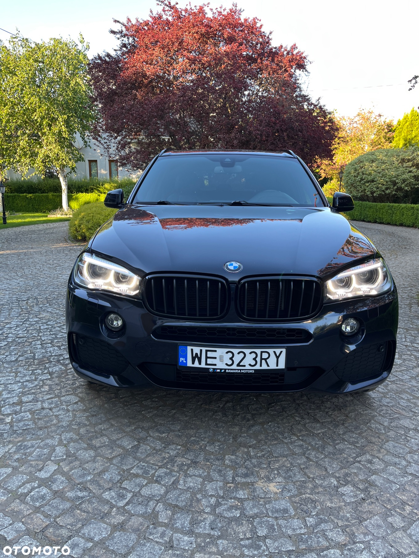 BMW X5 xDrive25d - 2