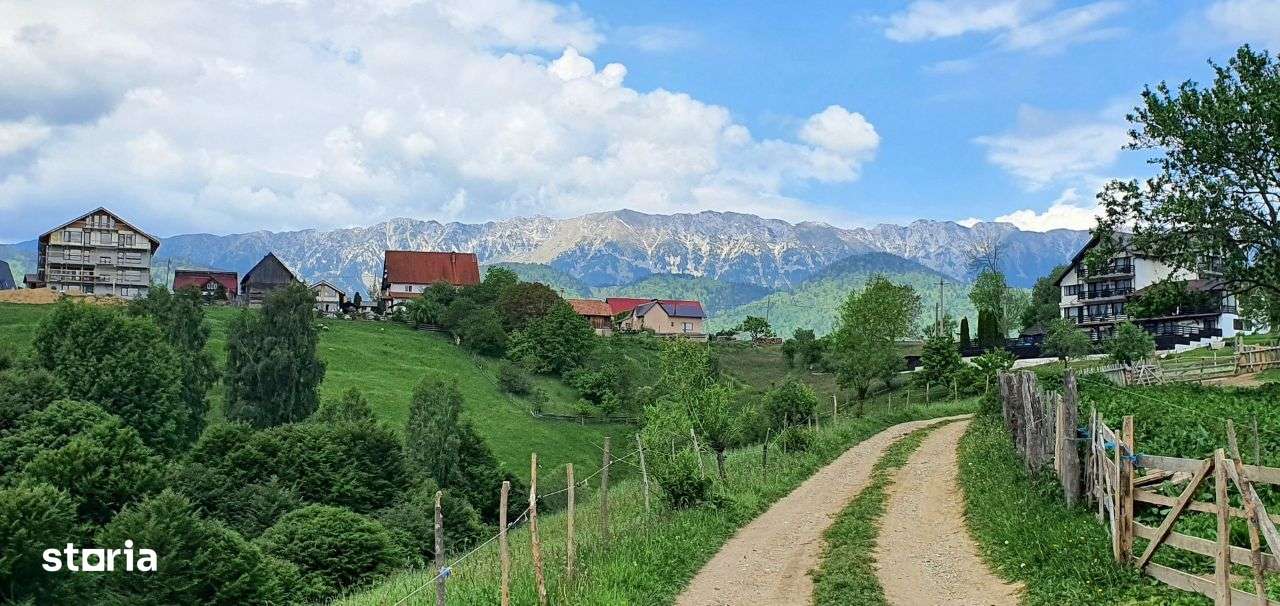 Teren casa de vacanta , Pestera , Brasov-13