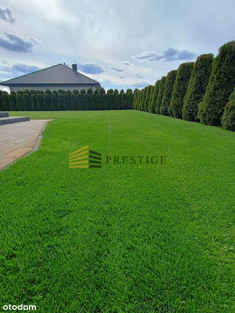 Sprzedam dom z ogrodem - przy Puszczy Słupeckiej-14