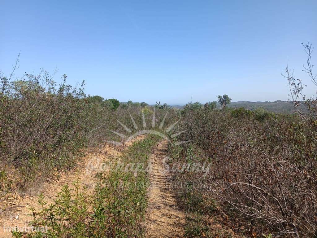 Terreno 14ha Santa Margarida da Serra - Grande imagem: 4/15