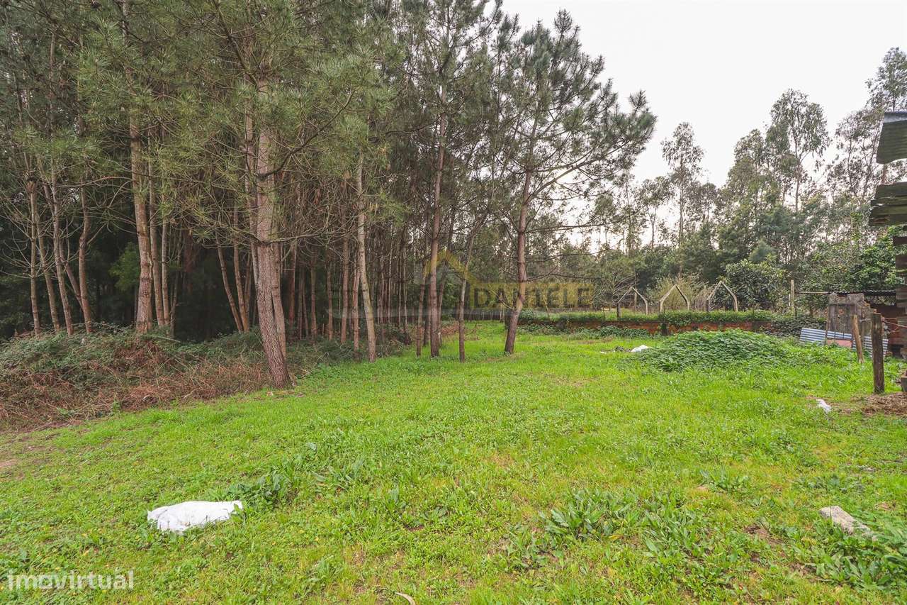 Terreno com 2.500m2 em AVANCA - Grande imagem: 5/27