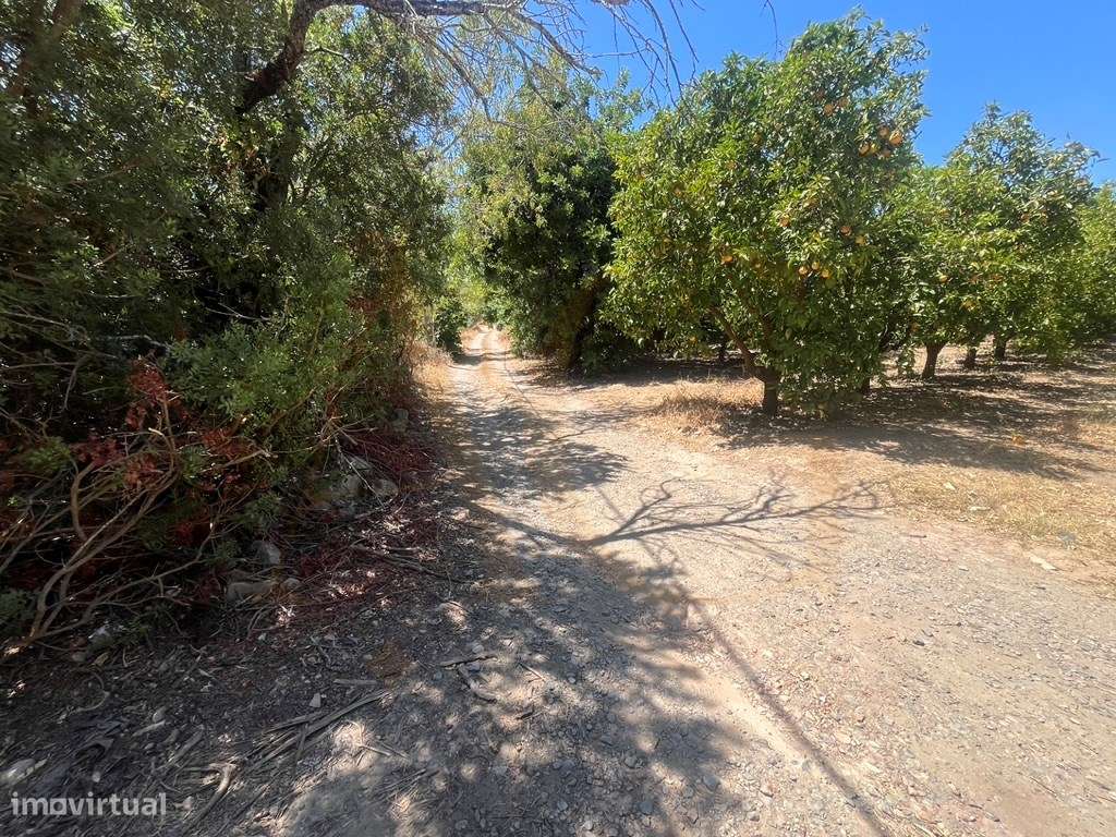 Quinta com duas casas, vistas para o mar e 11.940 m² de terreno em ...-48