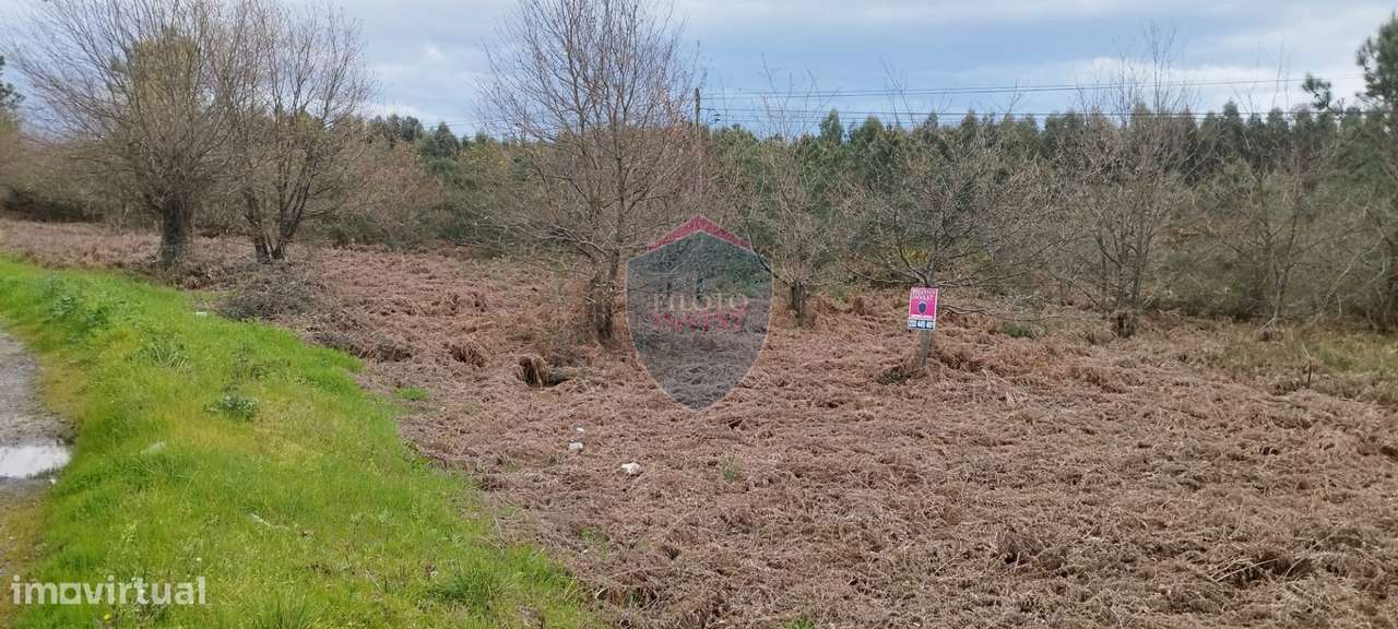 Terreno Rústico  Venda em Mundão,Viseu - Grande imagem: 4/4