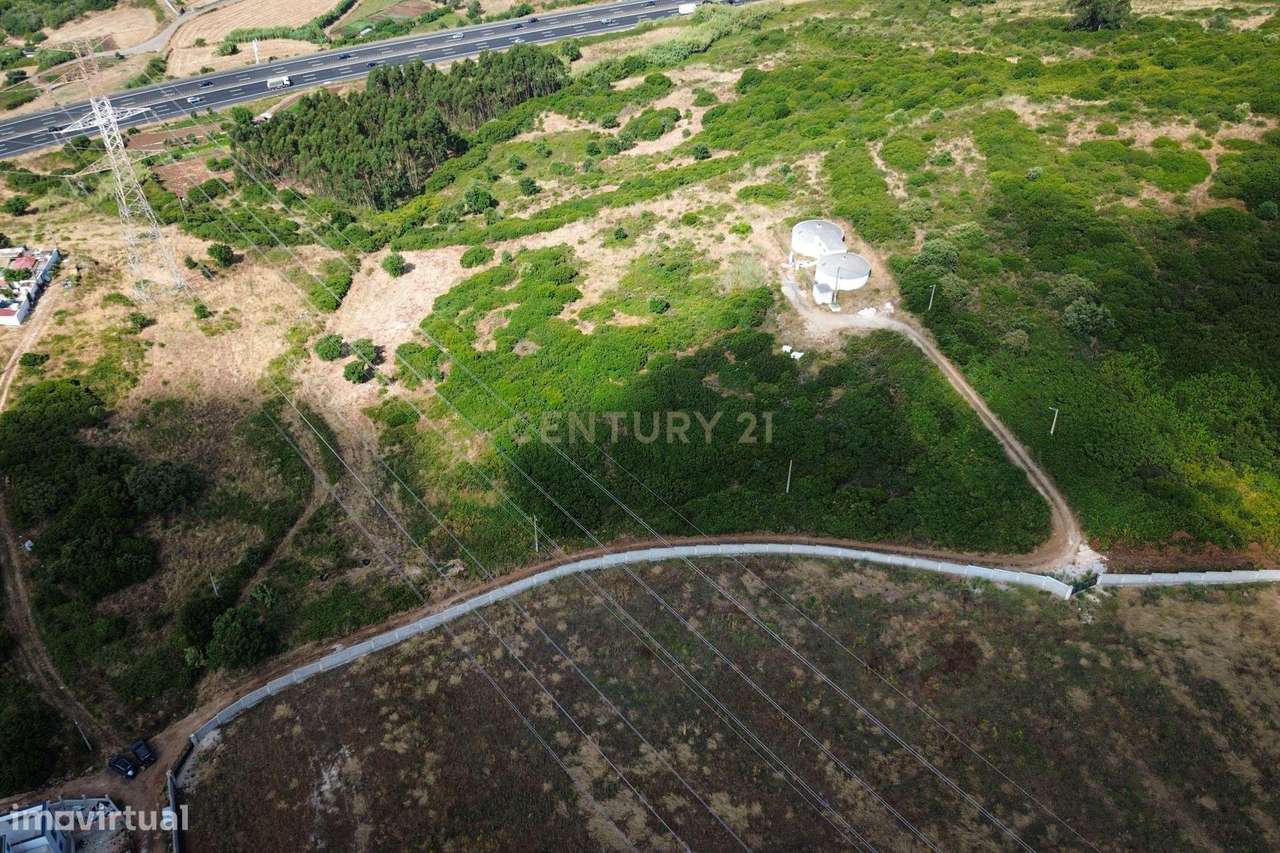Terreno com Potencial Agrícola e Ambiental | 11.580 m² – Murteira - Grande imagem: 2/18