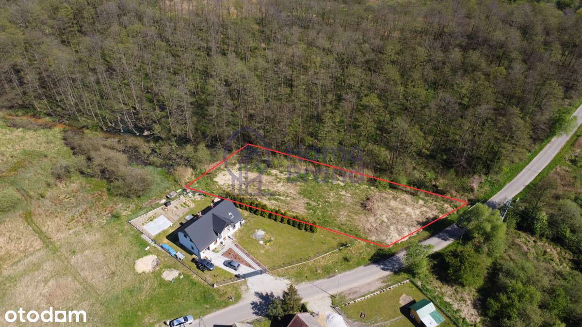 Obok Lasu| Sokołowice| Okazja - Pełny obrazek: 4/4