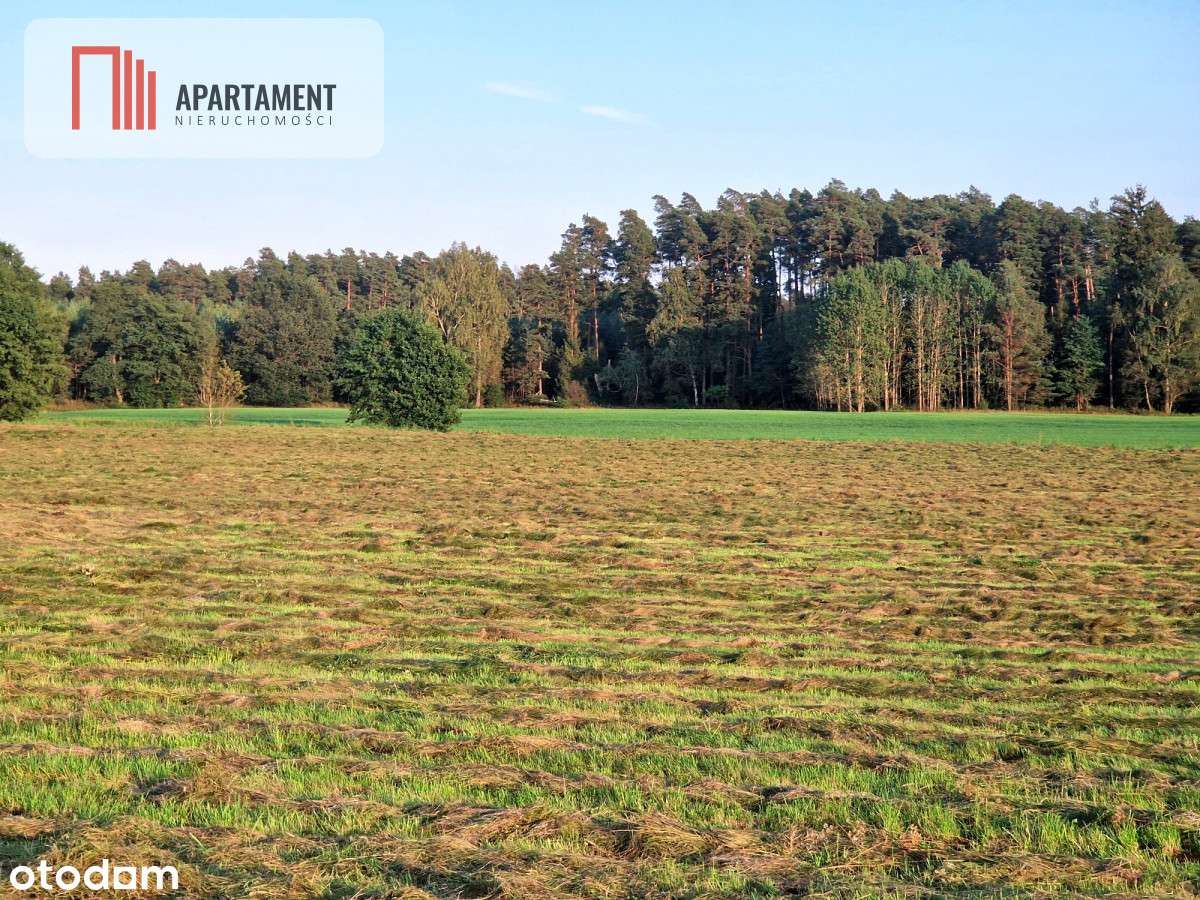 Ustronna działka - Twoja prywatna przestrzeń - Pełny obrazek: 4/7