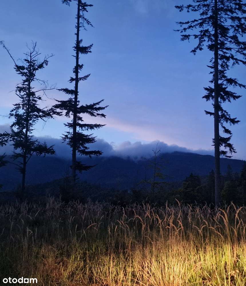 Działka budowlano- leśna z widokiem na góry| Ujsoły / Złatna | media-6