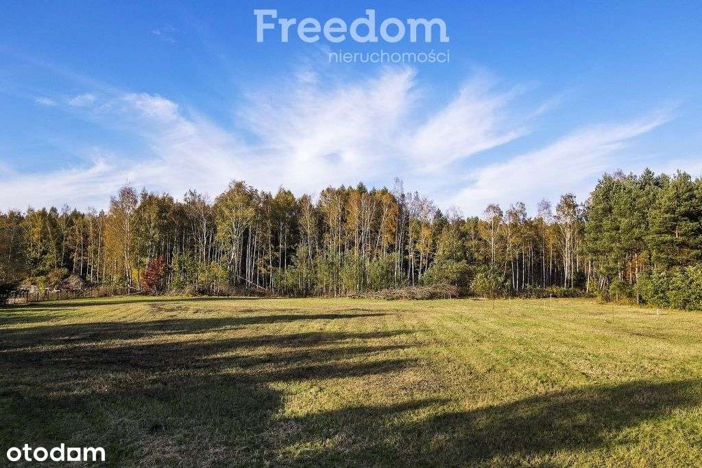 Atrakcyjny grunt na wynajem w strefie ekonomicznej - Pełny obrazek: 4/9