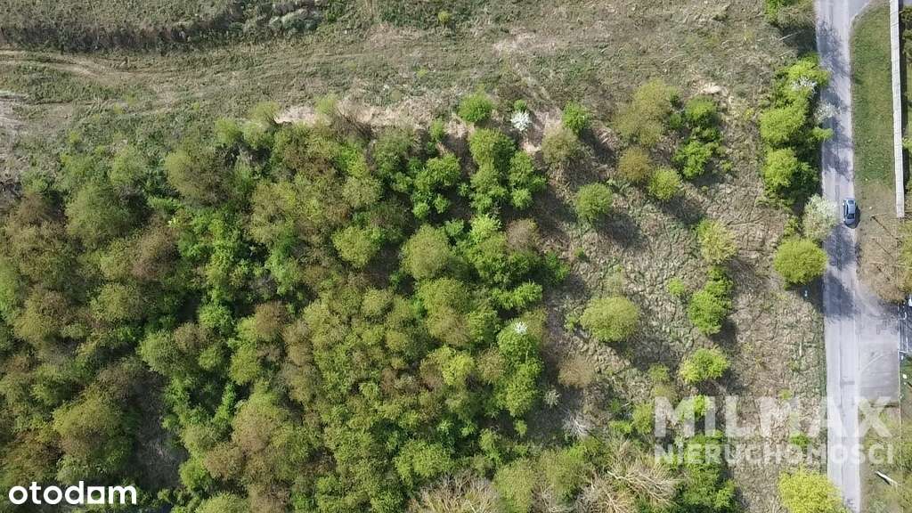 Atrakcyjna działka inwestycyjna Strefa Ekonomiczna-3