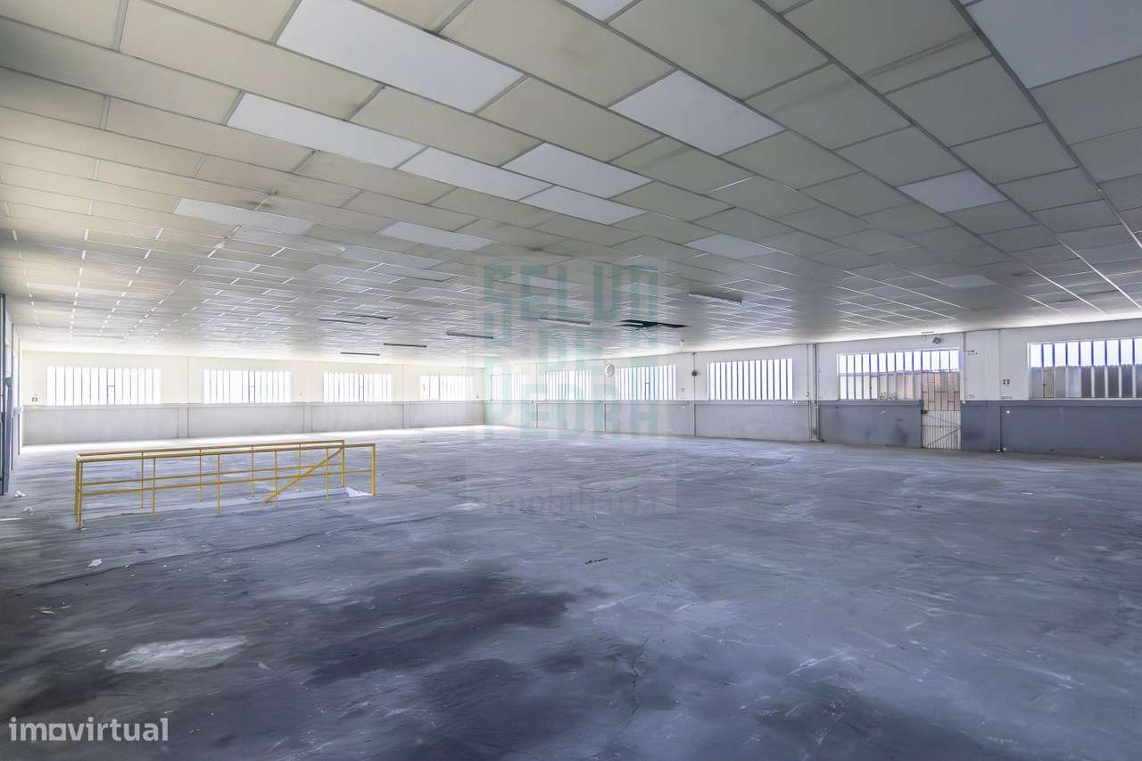 Armazém em S. Romão do Coronado - Grande imagem: 5/22