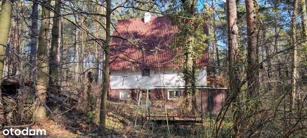 Dom, 150 m², Deskurów - Pełny obrazek: 5/18