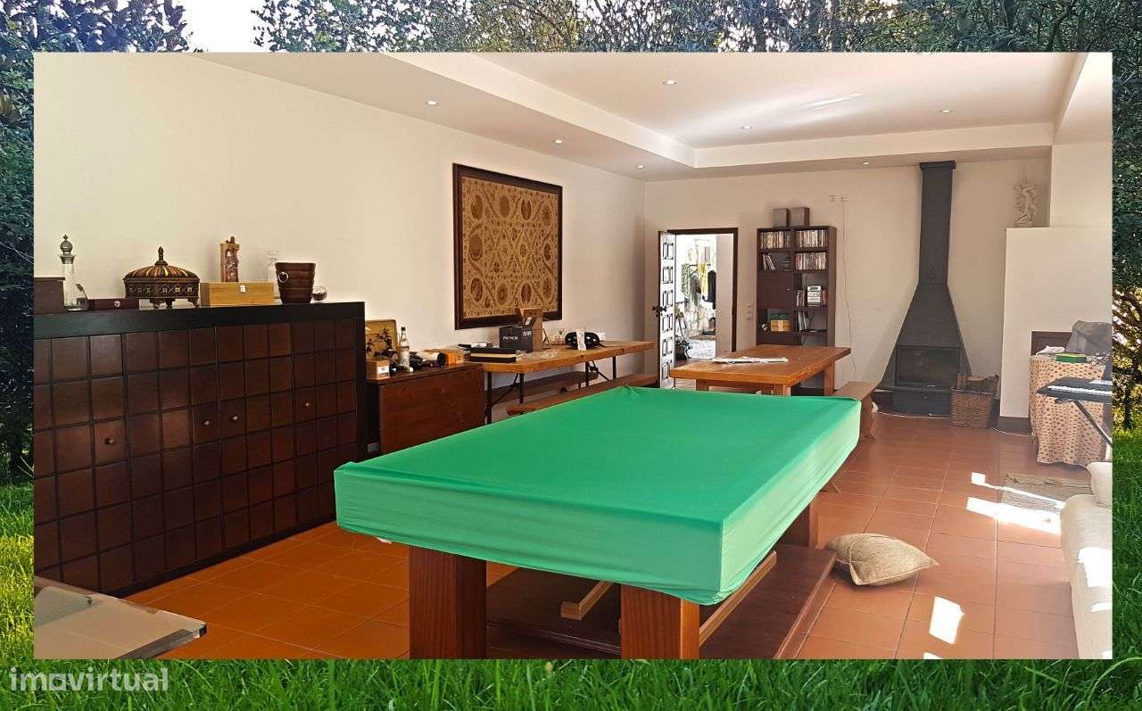 Quintinha com Mata secular-13