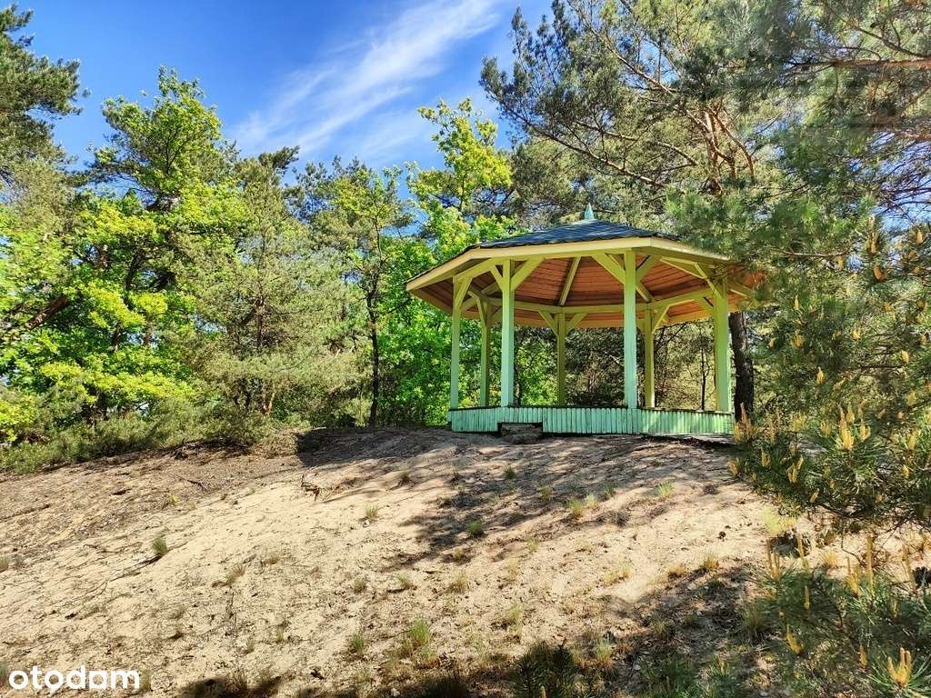 Uroczy dom letniskowy nad Pilicą - Pełny obrazek: 5/14