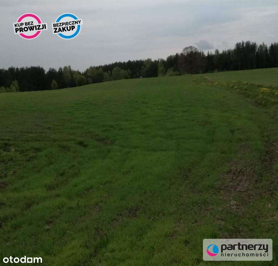 Działka pod dom, w sercu Kaszub, pod lasem - Pełny obrazek: 5/6