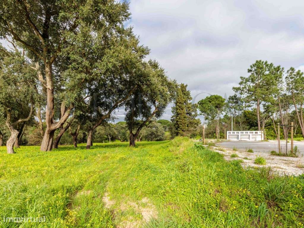 'Casa do Bosque': Terreno Urbano de 1 Hectare em Azeitão - Onde o L...-15