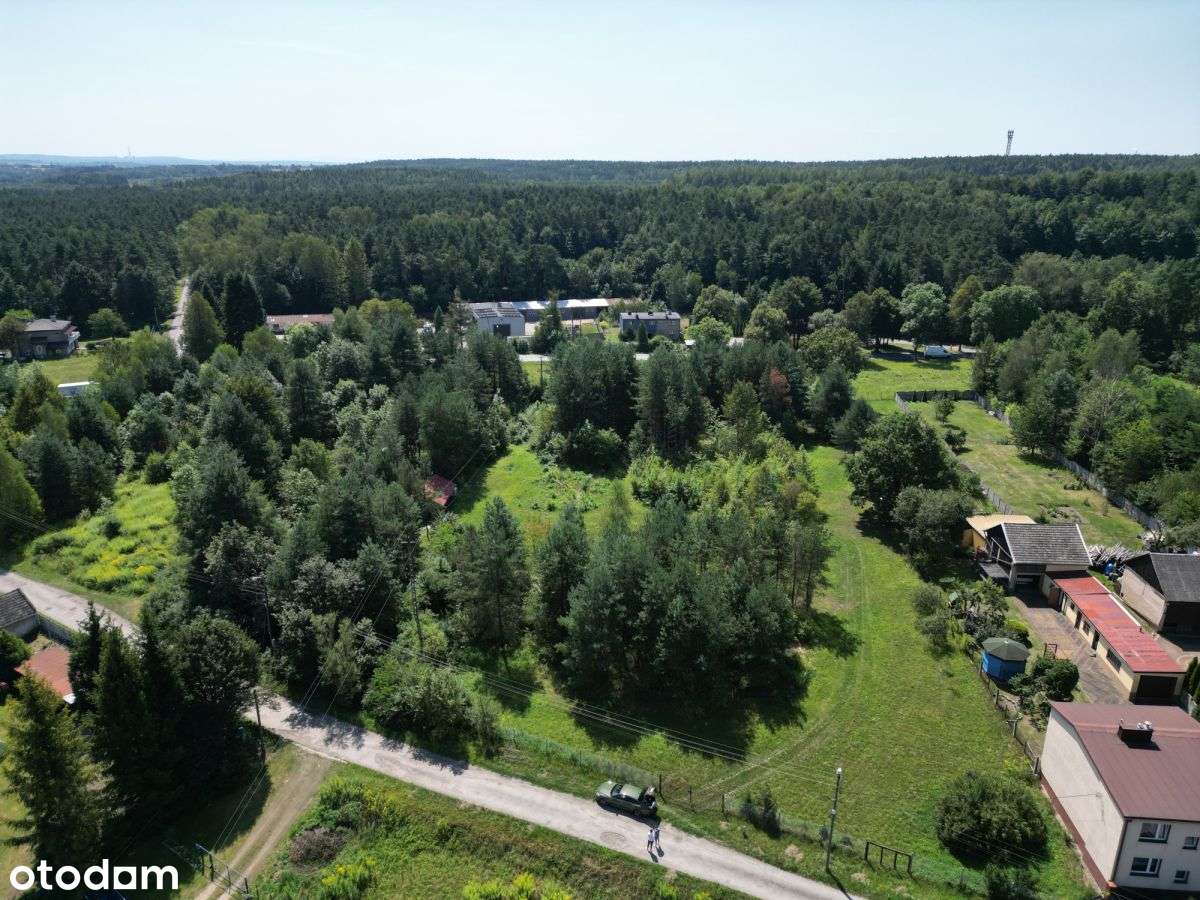 Działka Budowlana 4966 m2 blisko lasu Łęka-9