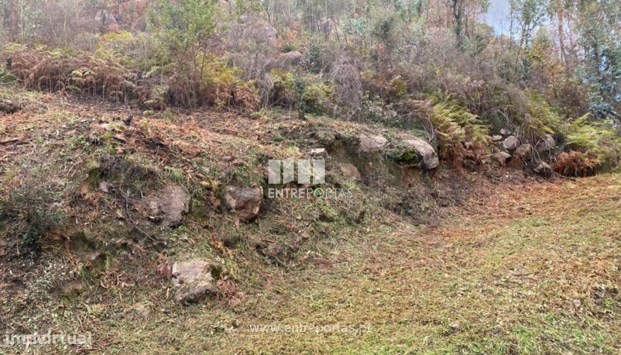 Venda Terreno, Penha Longa, Marco de Canaveses - Grande imagem: 3/25
