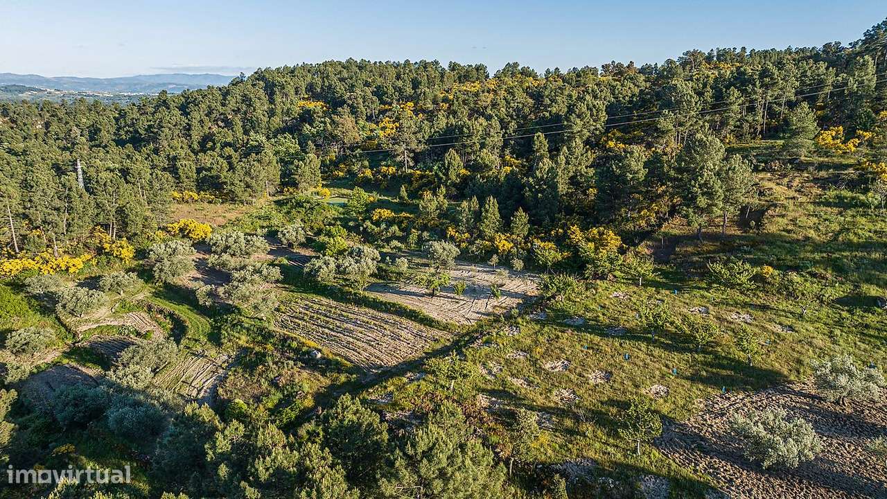 Terreno  para venda - Grande imagem: 2/16