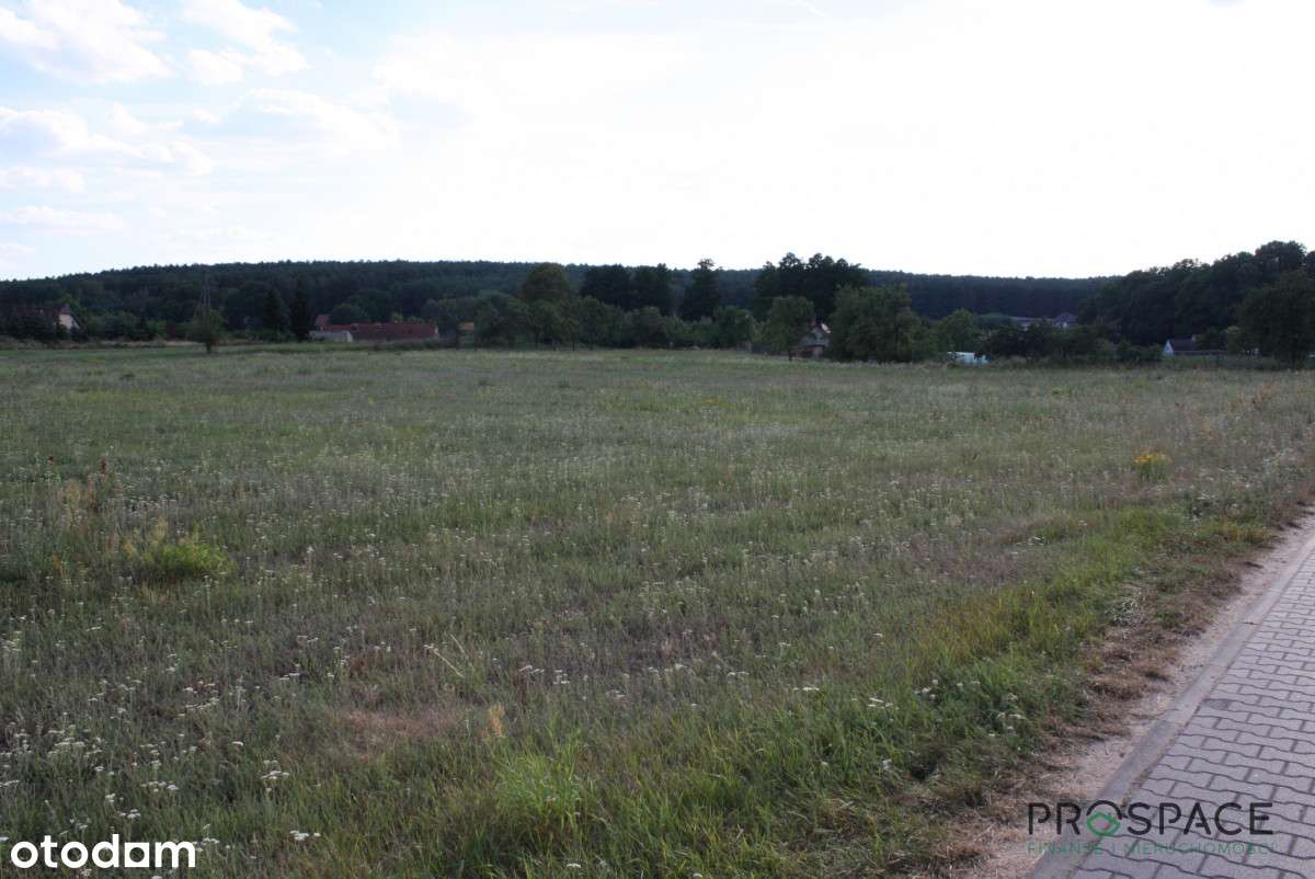 Duża działka w Przytoku - Pełny obrazek: 5/7