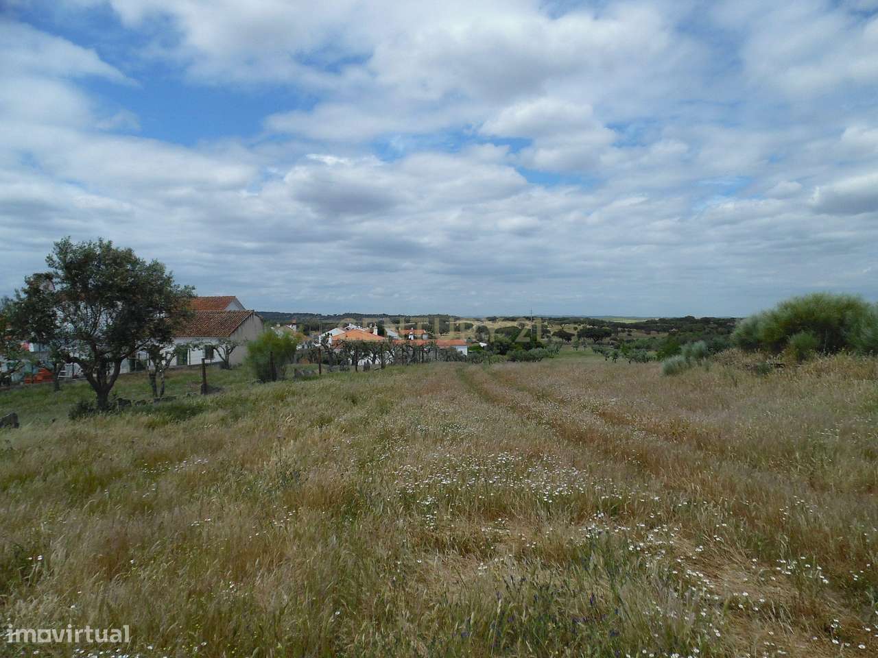 Quinta em Capelins,  Alandroal - Évora,  Oportunidade Única-19