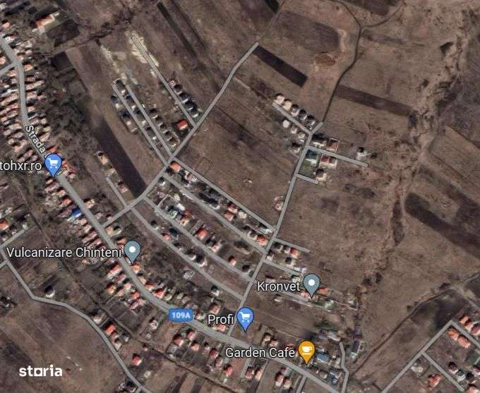 Teren 5498mp in Chinteni - Imagine principală: 4/4